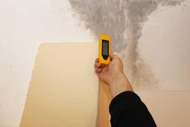 Best Crawl Space Mold Remediation  in Asbury Lake, FL