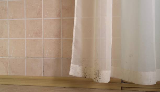Best Air Quality Testing for Mold Spores  in Asbury Lake, FL