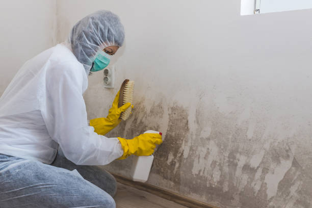Best Biohazard Mold Removal  in Asbury Lake, FL