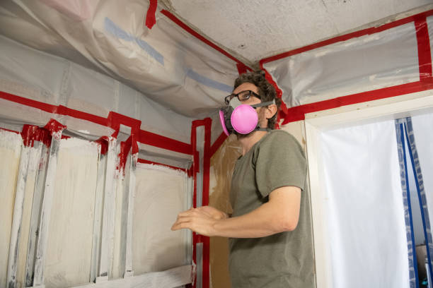  Asbury Lake, FL Mold Removal Pros