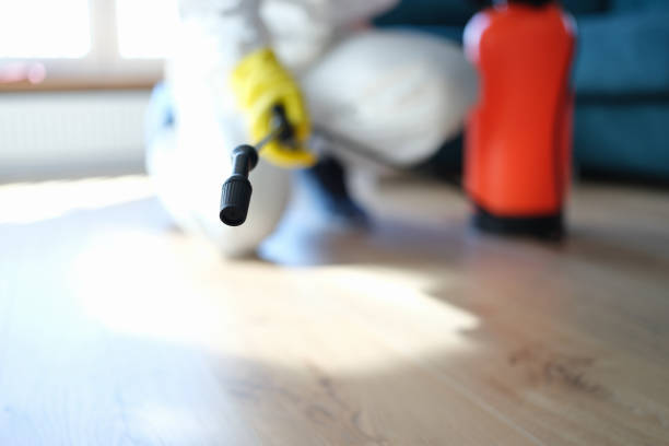 Best Residential Mold Inspection & Testing  in Asbury Lake, FL