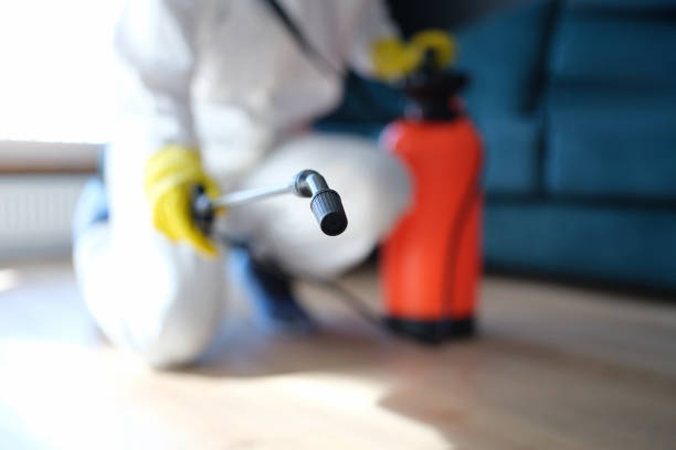 Asbestos and Lead Testing During Mold Inspection in Asbury Lake, FL