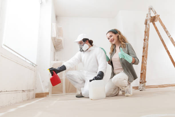 Best Mold Odor Removal Services  in Asbury Lake, FL